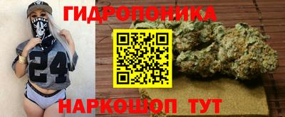 шишки Чапаевск