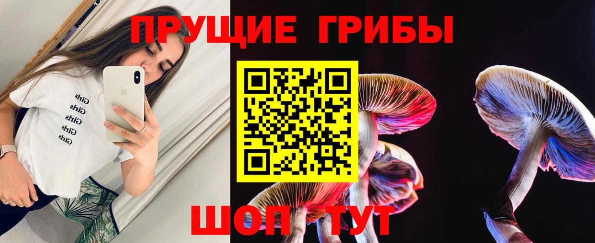 Псилоцибиновые грибы прущие грибы  Вход с VPN  Выкса 